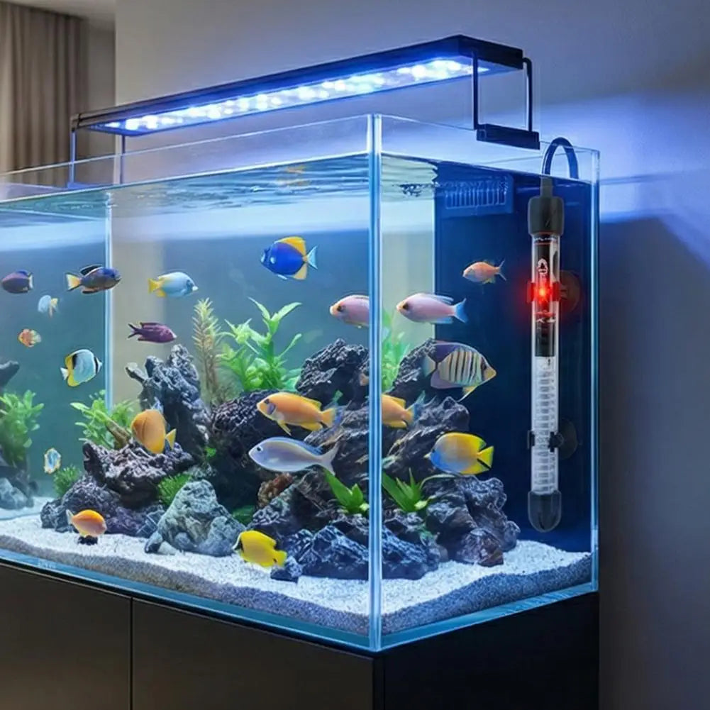 aquarium accessories